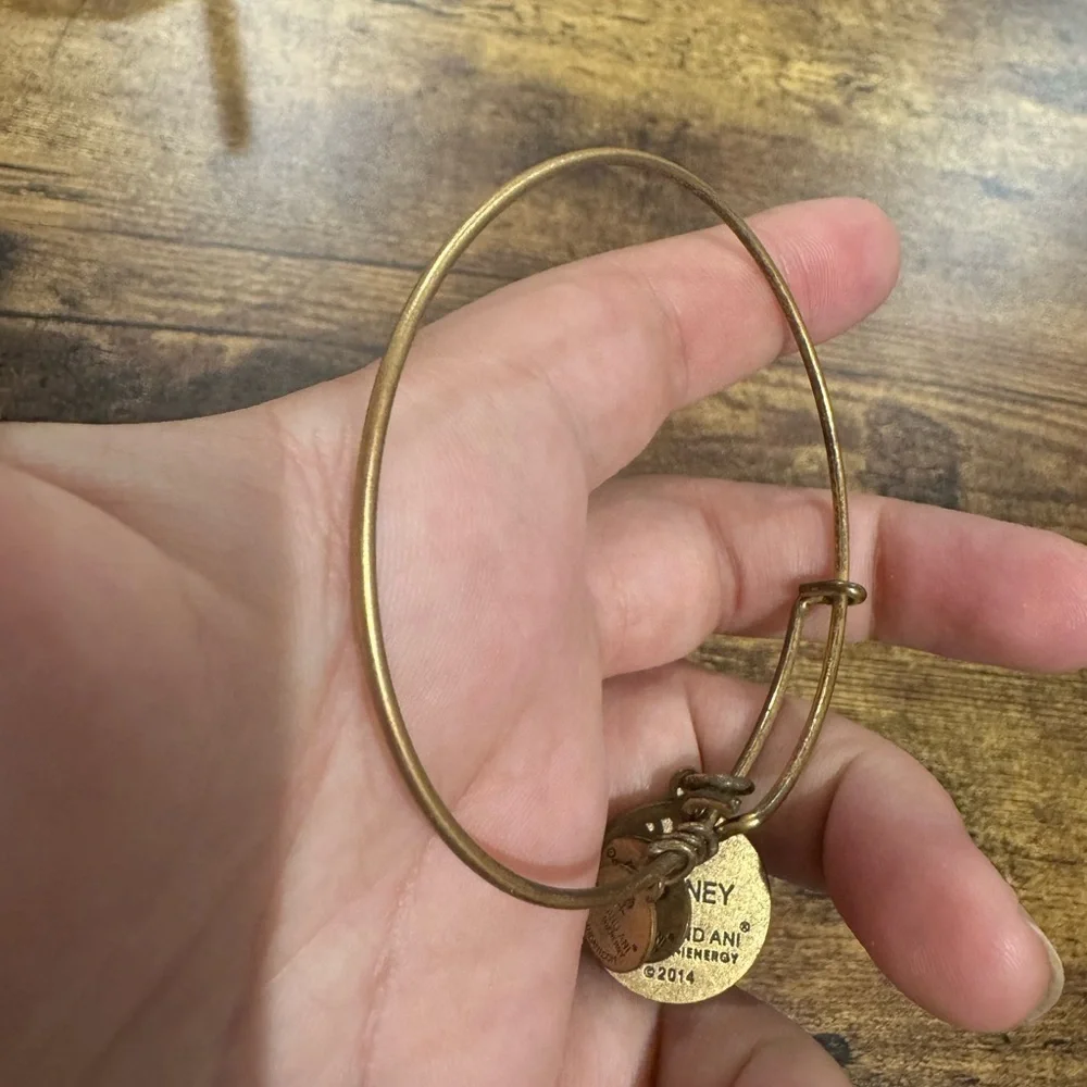 Disney Parks Alex & Ani Magic Kingdom Cinderella's Castle Gold Bracelet Original